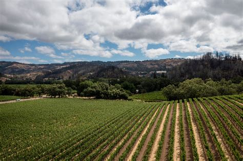 Saint Helena Appellation Of Napa Valley