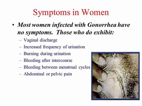 Std Symptoms In Women Identification And Treatment