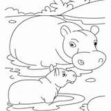 Hippo Mother Baby Swamp Coloring Netart sketch template