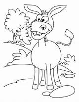 Grin Coloring Designlooter Donkey Mexican Pages Big sketch template