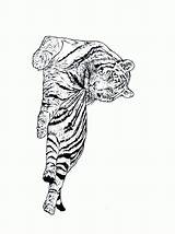 Tiger Coloring Pages Animated Gifs Coloringpages1001 Animal Tigers Similar sketch template