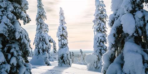 wintervakantie  finland nordic de scandinaviespecialist