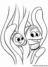 Nemo Coloring Pages Squirt Finding Getcolorings Printable sketch template