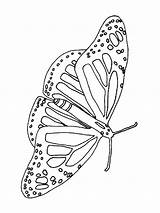 Pages Butterfly Coloring Animals Printable sketch template