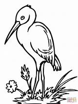 Coloring Stork Pages Storks Printable Popular Cute Comments Coloringhome sketch template