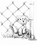 Coloring Pages Dog Fence Family sketch template