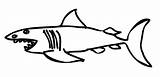 Shark Coloring Drawing Pages Lemon Clipart Template Kids Printable Sharks Print Cliparts Clip Angry Library Nels Sad Comments Getdrawings Coloringhome sketch template