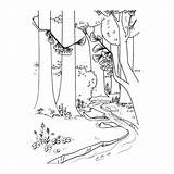 Coloring Forest Nature Coloriage Pages Dessin Forêt Printable Kb Loup sketch template