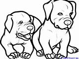 Pitbull Coloring Pages Rottweiler Dog Step Baby Dogs Pitbulls Draw Printable Puppy Color Drawing Pit Animals Book Drawings Kids Wallpaper sketch template