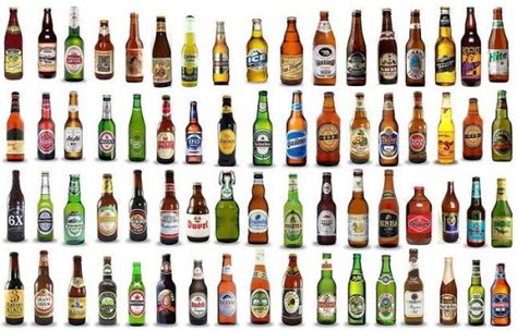 top 10 popular beer brand nayeli oayala