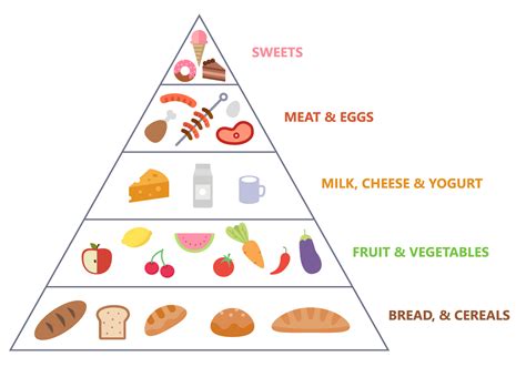 food pyramid vector  vector art  vecteezy