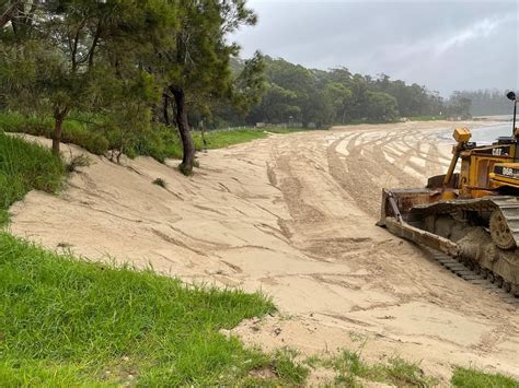 council undertaking coastal dune rehabilitation shoalhaven city council