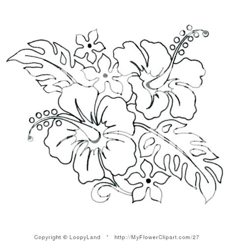 loudlyeccentric  hibiscus flower coloring pages