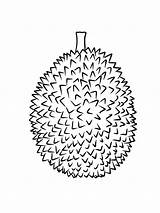 Durian บทความ Gaddynippercrayons จาก sketch template