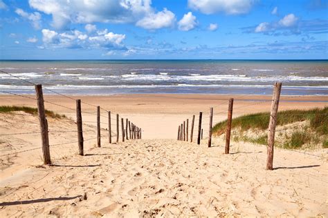 fotobehang strand zee  duinen voor thuis  op het werk