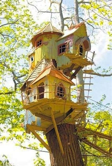 images  tree top houses  pinterest kid tree houses trees   tree