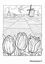 Windmill Holland Aap Noot Mies Kleuteridee Tulips Horsthuis Alles Parel Volwassenen Koningsdag Sheets Hollande Mewarn15 Windmills Leesplankje Coloriage Landschap Mappy sketch template