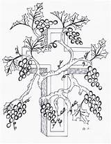 Vines Bijbel Grape Designlooter Eve Connected sketch template