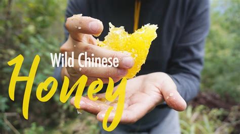 wild chinese honey delivery youtube