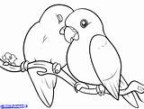 Parakeet Parakeets Kissing Lovebird Lovebirds sketch template