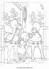 Rentier Renne Kolorowanki Renifery Natalizi Maman Rennes Malvorlage Renna Disegno Kerst Renifer Reindeer Stampare Desenho Bojanka Kleur Ausmalen Dzieci Verf sketch template