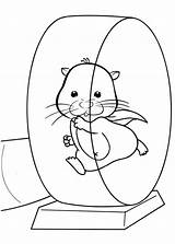 Hamster Coloring Pages Wheel Pet Running Cartoon Gerbil Exercise Dwarf Printable Drawing Cute Kids Color Getcolorings Sheet Print Getdrawings Coloringsky sketch template