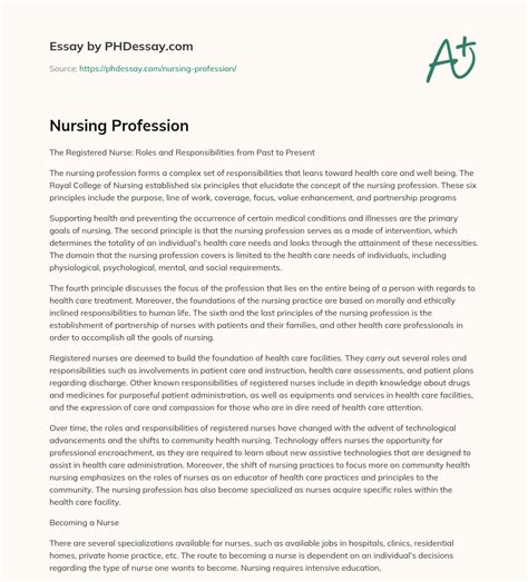 nursing profession phdessaycom