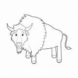 Chivo Gemakkelijke Geitjes Jonge Kleuren Buffels Buffalo Koala Granja Lindo Chivos sketch template