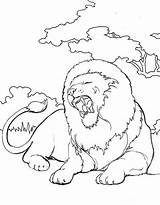 Lion Kids Coloring Korner Pages Animals Dmg Enterprises Yawn Provided Sized Network sketch template