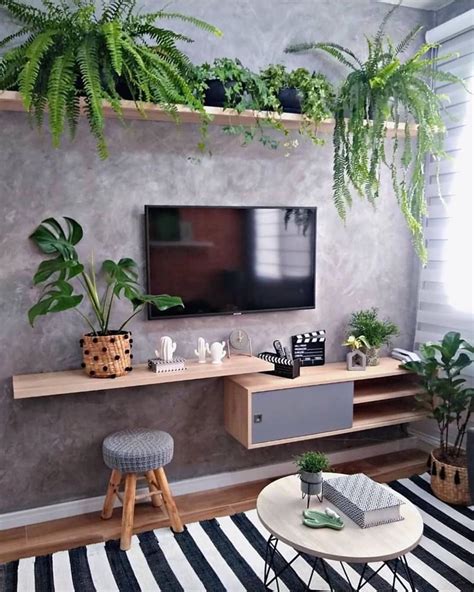 choosing plants   living room malelivingspace