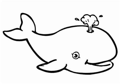 blue whale coloring page awesome whale  coloring pages whale