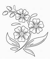 Flower Easy Flowers Drawings Drawing Draw Kids Simple Pretty Beautiful Sketches sketch template