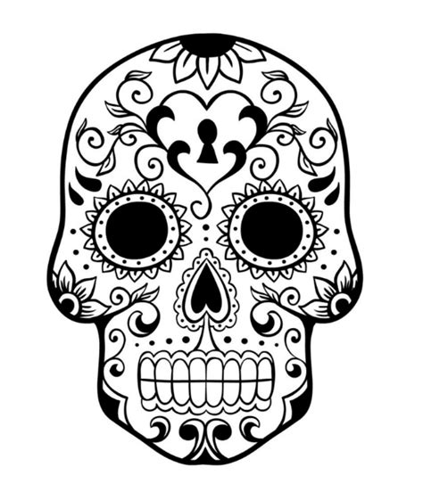 skull coloring pages    clipartmag