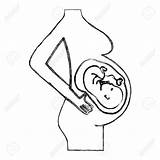 Baby Womb Drawing Outline Fetus Inside Getdrawings Umbilical sketch template