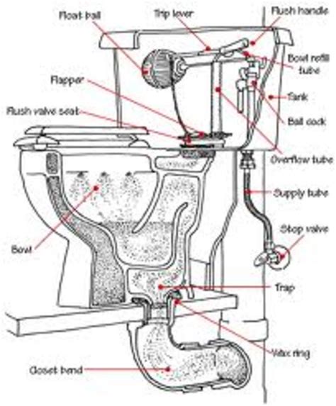 toilet work toilet basics  hubpages