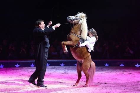 circus knie verschiebt den saisonstart zirkus news