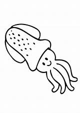 Squid Coloring Cute Pages Game Printable Categories Baby Books Print Similar sketch template