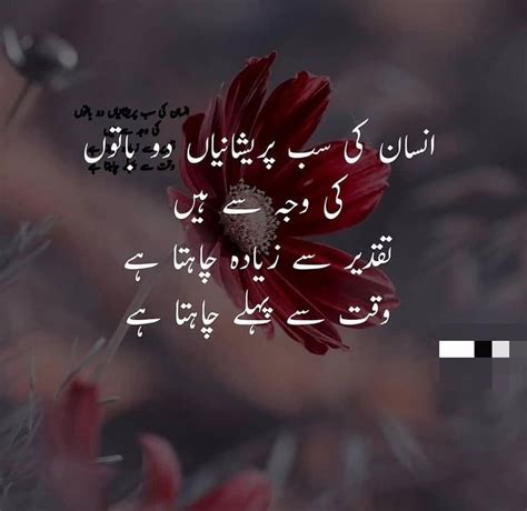 pin by fayaz uddin on ab thoughts urdu quotes urdu