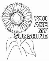 Coloring Sunflower Flowers Fairly Requested sketch template