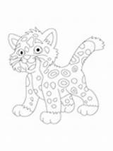Coloring Diego Go Jaguar Baby Pages sketch template