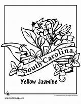 Carolina Coloring State Flower South North Pages Symbols Printable Getcolorings Print Connecticut Kids Color Getdrawings Template Popular sketch template