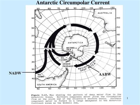 antarctic circumpolar current powerpoint    id