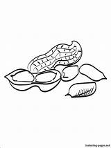 Peanut Coloring Pages Peanuts Butter Drawing Color Getdrawings Getcolorings Bread sketch template