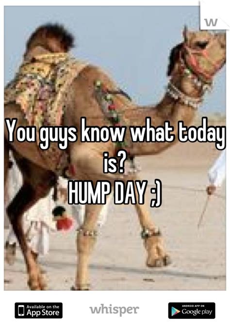 86 Best Wednesday It S Hump Day Images On Pinterest