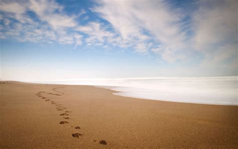 sand footprints   background