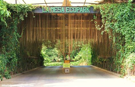 wedding venue   philippines la mesa eco park   hectare
