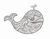 Whale Zentangle Coloring Adult Pages sketch template