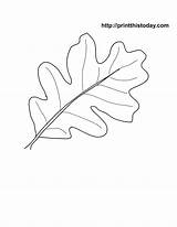 Leaf Autumn Oak Printable Coloring Fall Pages Stencil Leaves Template Patterns Traceable Color Stencils Acorn Clipart Templates Oakleaf Library Popular sketch template