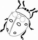 Ladybug Coloring Pages Printable Kids Line Drawings Flower Insect sketch template