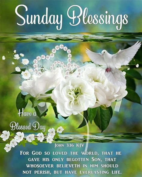 good morning happy sunday images quotes gif blessings weekend   blessed sunday